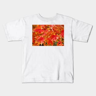 Autumn Leaves Kids T-Shirt